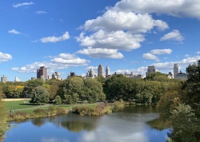 Tolle Aussicht vom Central Park auf Manhattan