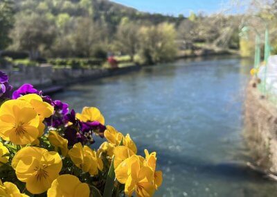 Blumen im Frühling vor dem Minico Fluss