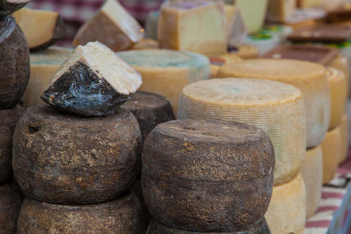Cheese dairy Lake Garda