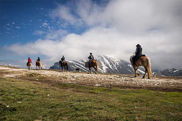 Lake Garda Exclusive: Horseback Riding on Monte Baldo